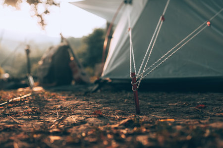 Group Camping in Spring/Autumn: Sharing Warmth and Spirits the British Way