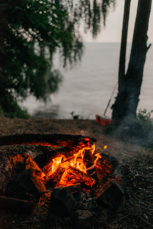 Luxury BBQ Upgrades: Premium Grills and Gadgets for Glamping in the UK