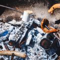 Foraging and Low-Impact Cooking on UK Eco Campgrounds
