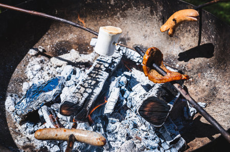 Foraging and Low-Impact Cooking on UK Eco Campgrounds