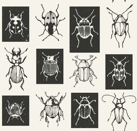 Dealing with Midges, Ticks, and Other UK Critters: Advanced Bushcraft Solutions