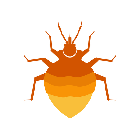 Shelter Crafting and Camp Hygiene Against Pests