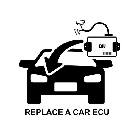 Top Solar-Powered Essentials: From Lanterns to Charging Kits