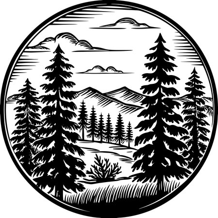 The Influence of Environmental Protection Laws on Wild Parking and Campervan Stays in the UK