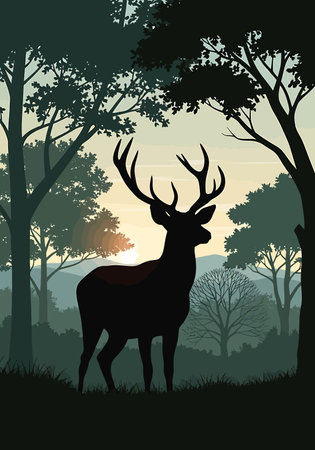 Sustainable Camping: Principles and Practice